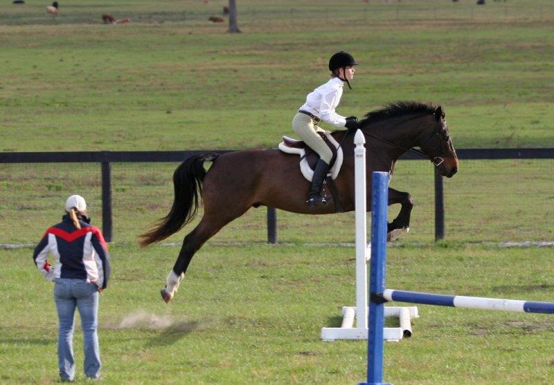 Pine Ridge Estates Real Estate For Sale, Homes In Pine Ridge Florida